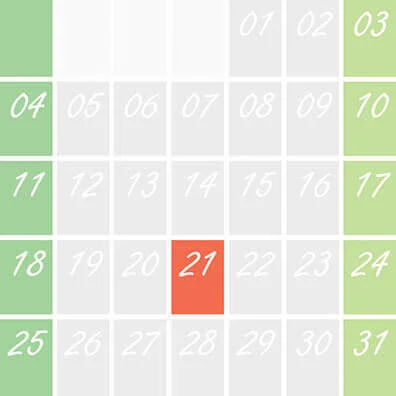 día 21